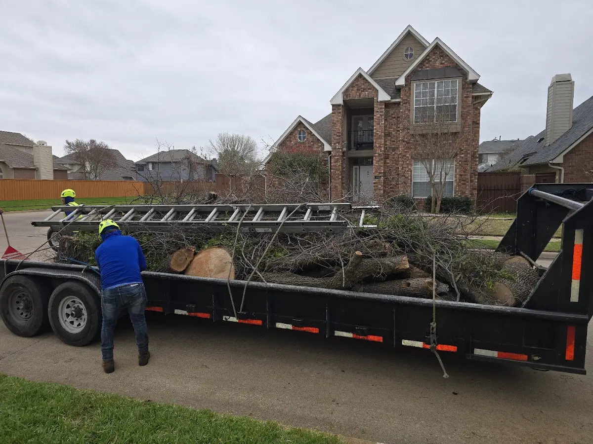 Expert Tree Fertilization with proper safety equipment in Moriah